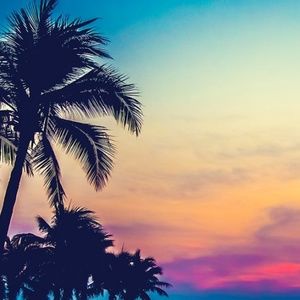 Meet your Posher, Carter